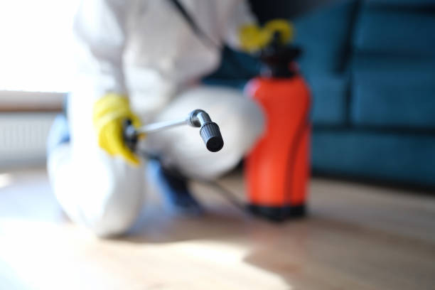 Dehumidification Services in North Babylon, NY